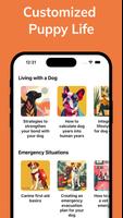 PupFi скриншот 1
