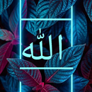APK Allah Wallpaper