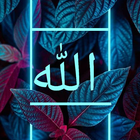 Allah Wallpaper icône