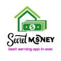 Secret Money