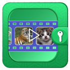 Secret Video Locker icône