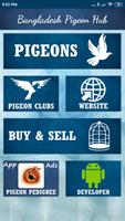 Bangladesh Pigeon Hub 海報