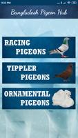 Bangladesh Pigeon Hub 截圖 1