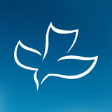 CSN International иконка