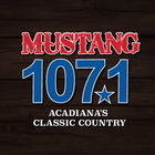 Mustang 107.1 ikon