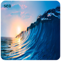 Sea Photos Frames