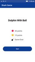 Dolphin With Ball poster