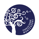 Charles Towne Montessori APK