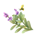 Sage Montessori APK