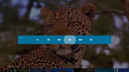 Seagate Media Receiver APK 下載