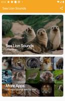 Sea Lion Sounds Affiche