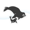 SealPlayApp