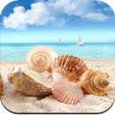 Seashell wallpaper HD APK