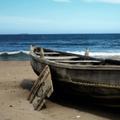 Seashore pics 1