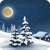 Winter icon