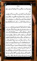 La Hasil | Urdu Novel | capture d'écran 3
