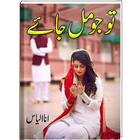 Tu Jo Mil Jaey icon