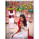 Tu Jo Mil Jaey icon