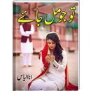 APK Tu Jo Mil Jaey | Urdu Novel |