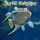Sea HD Wallpaper 2021-JS
