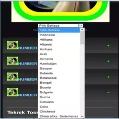 a reliable way to be a volleyball tosser APK 下載