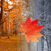 Cozy Scenes APK