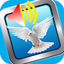 Moore Bible Cath français Engl APK