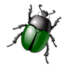 BeetleCatch icon