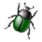 BeetleCatch иконка