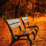 Autumn Sound icono
