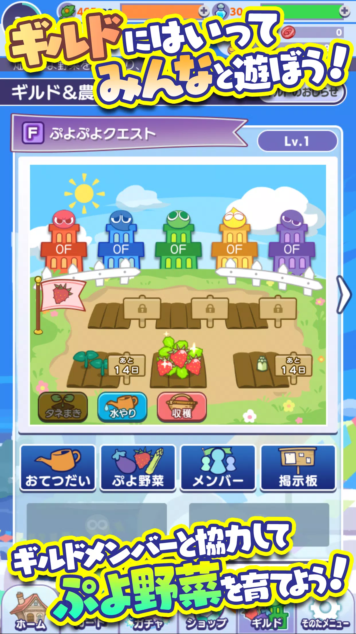 ぷよぷよ クエスト 簡単操作で大連鎖 爽快 パズル For Android Apk Download