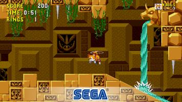 برنامه‌نما Sonic the Hedgehog™ Classic عکس از صفحه