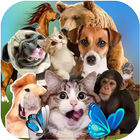 Animal Sticker - WAStickersApp icône