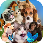 Animal Sticker - WAStickersApp أيقونة