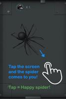 Spider Pet Affiche