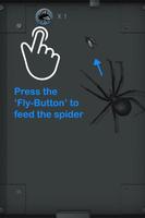Spider Pet capture d'écran 2
