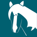 SEGES Vet App