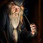 Dumbledore AR icône