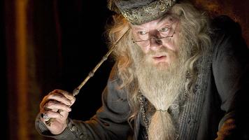 Dumbledore AR captura de pantalla 2