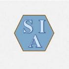 Seguridad Informatica Actual icon