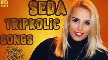 Seda Tripkolic poster