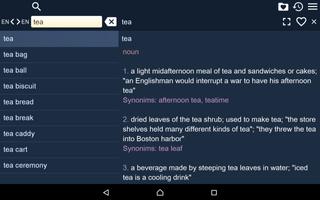 Explanatory English Dictionary capture d'écran 3