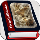 Sedimentary rock icon