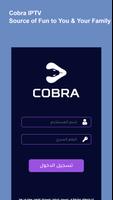 Cobra IPTV captura de pantalla 2