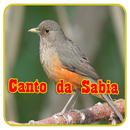 Canto da Sabia Offline APK