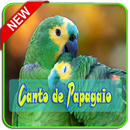 Canto de Papagaio MP3 APK