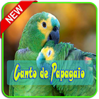 Canto de Papagaio MP3 icône