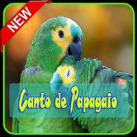 Canto de Papagaio MP3 Affiche