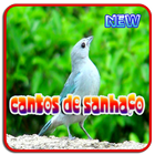 Cantos de Sanhaco Mp3 icône