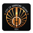 Hammond 311